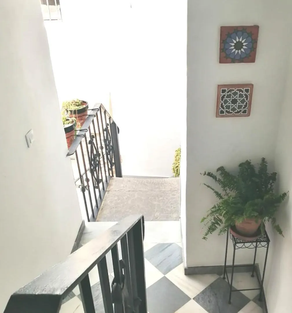 Apartamento Ave Maria 5 Tarifa